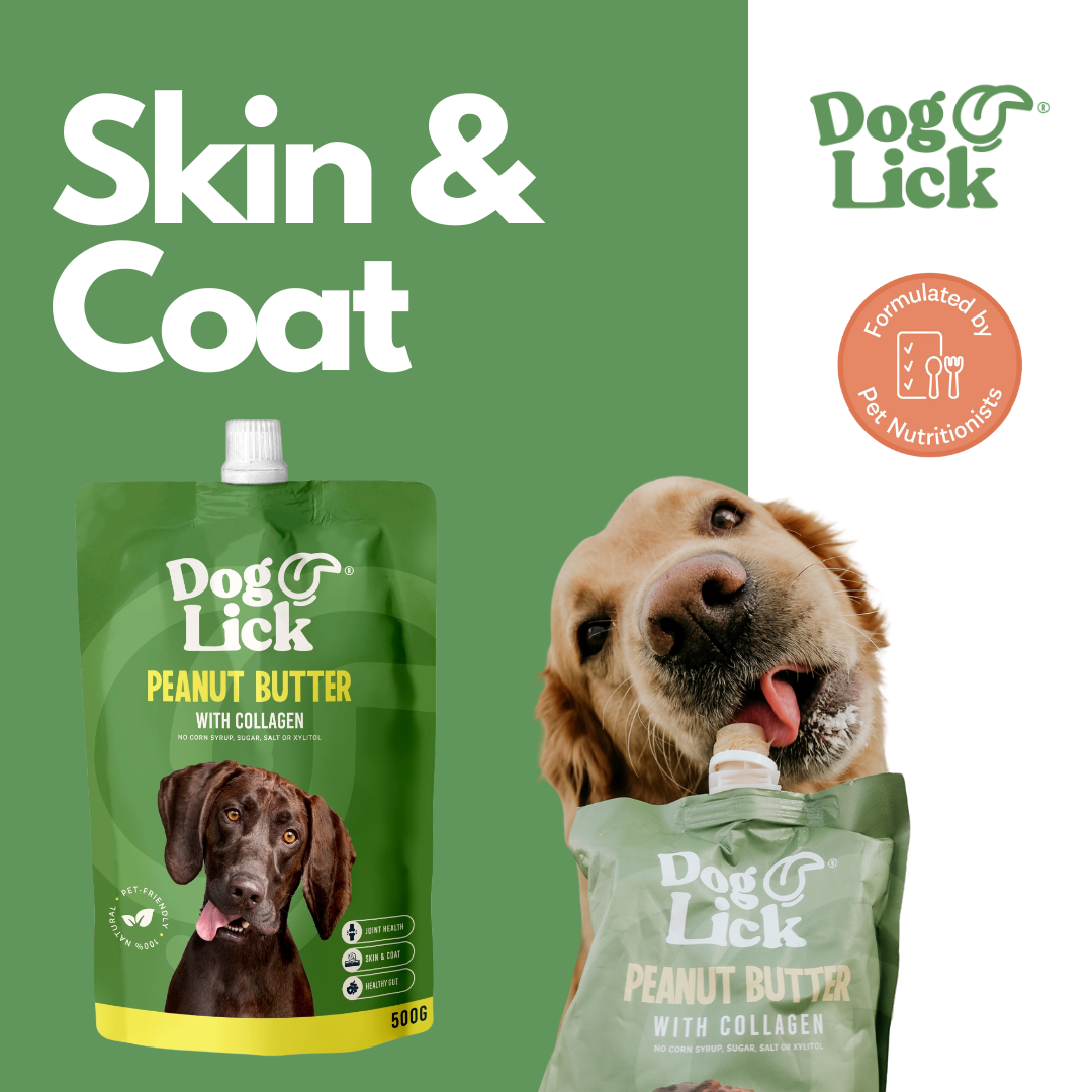 Dog Lick 1KG Peanut Butter for Dogs Combo Pack (2 x 500g)