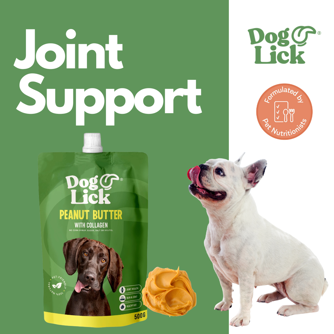 Dog Lick 1KG Peanut Butter for Dogs Combo Pack (2 x 500g)